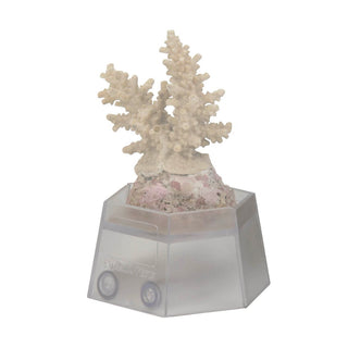 Aqua Medic Coral Holder