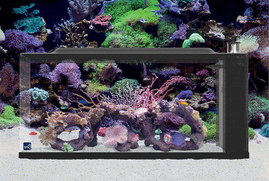 TMC First Wave Aquarium Set + Free Heater