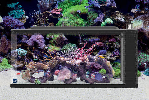 TMC First Wave Aquarium Sets | Beginner Reef Fish Tanks – Charterhouse ...
