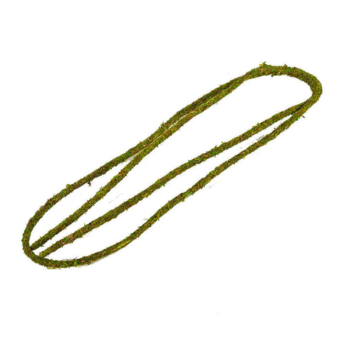 ReptiZoo Natural Moss Vine 200cm x 2cm