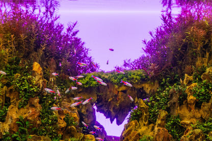 UNS Atmos Aquarium Light Background