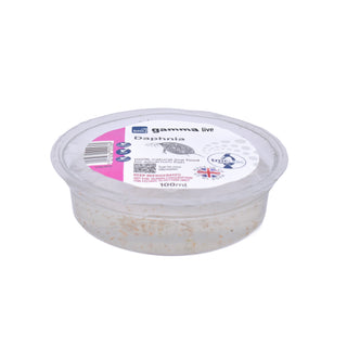 TMC Gamma Live Daphnia 100ml