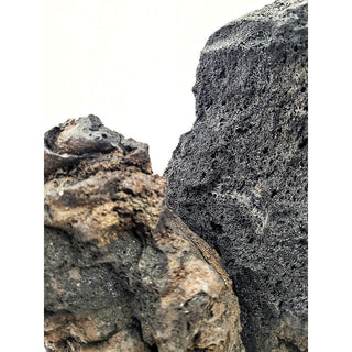 WIO Darwin Black Lava Stone Box - 6KG