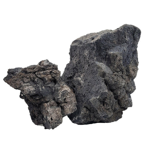WIO Darwin Black Lava Stone Box - 6KG