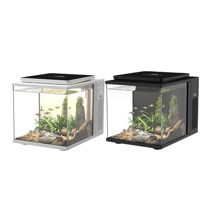 Maxspect Dice Pico 2 Freshwater Aquarium