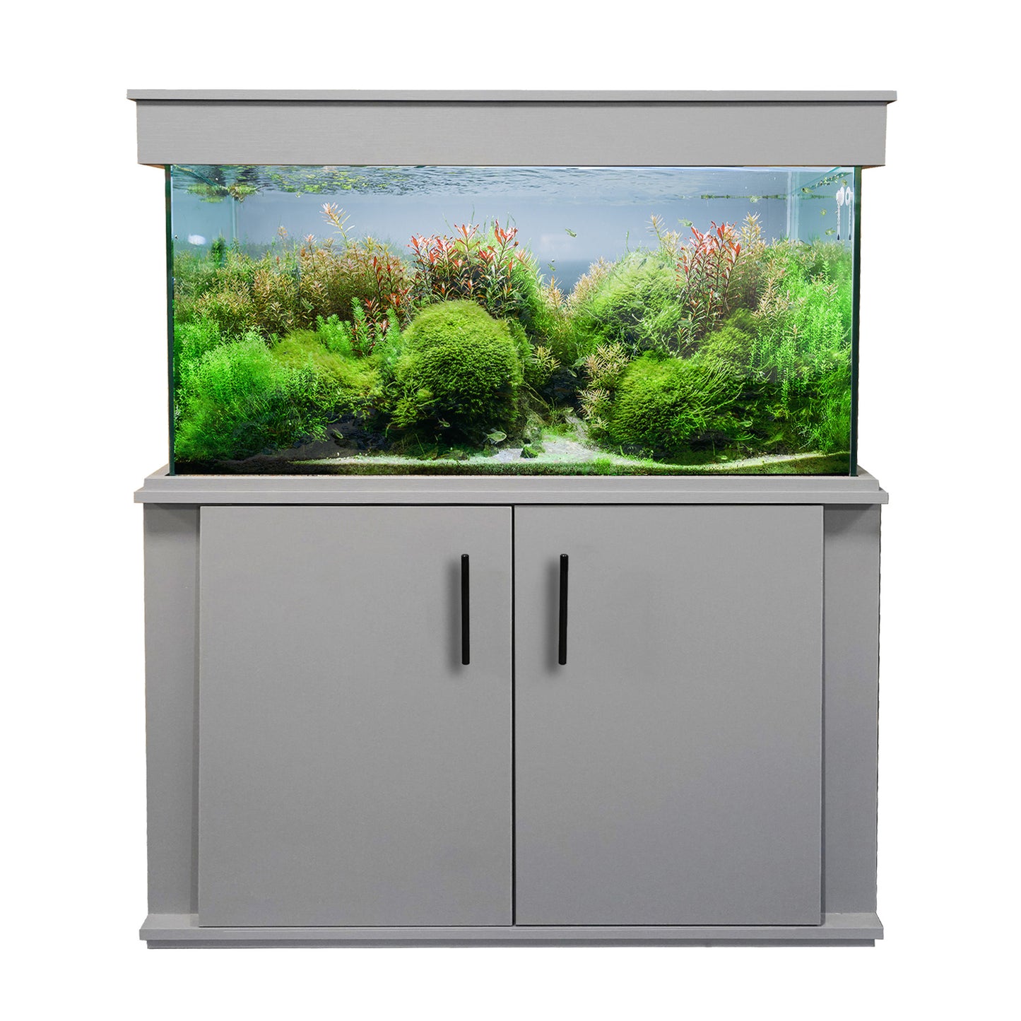 Clearseal Aura 250 Aquarium and Cabinet