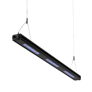 Reefbreeders Edge Marine Strip Light - UV/Blue Hybrid.