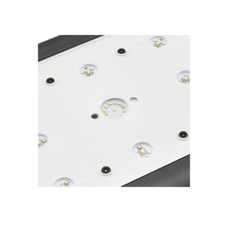 AI Hydra Edge 44HD LED - Freshwater