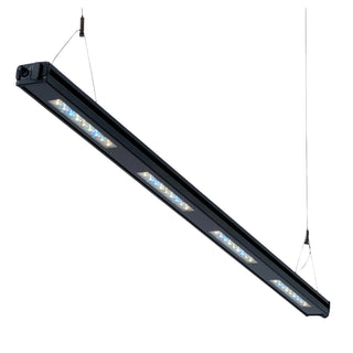 Reefbreeders Edge Marine Strip Light - UV/Blue Hybrid.