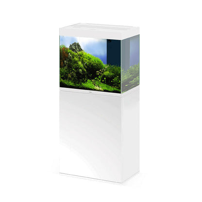 Ciano Emotions Pro 60 White Aquarium And White Cabinet.