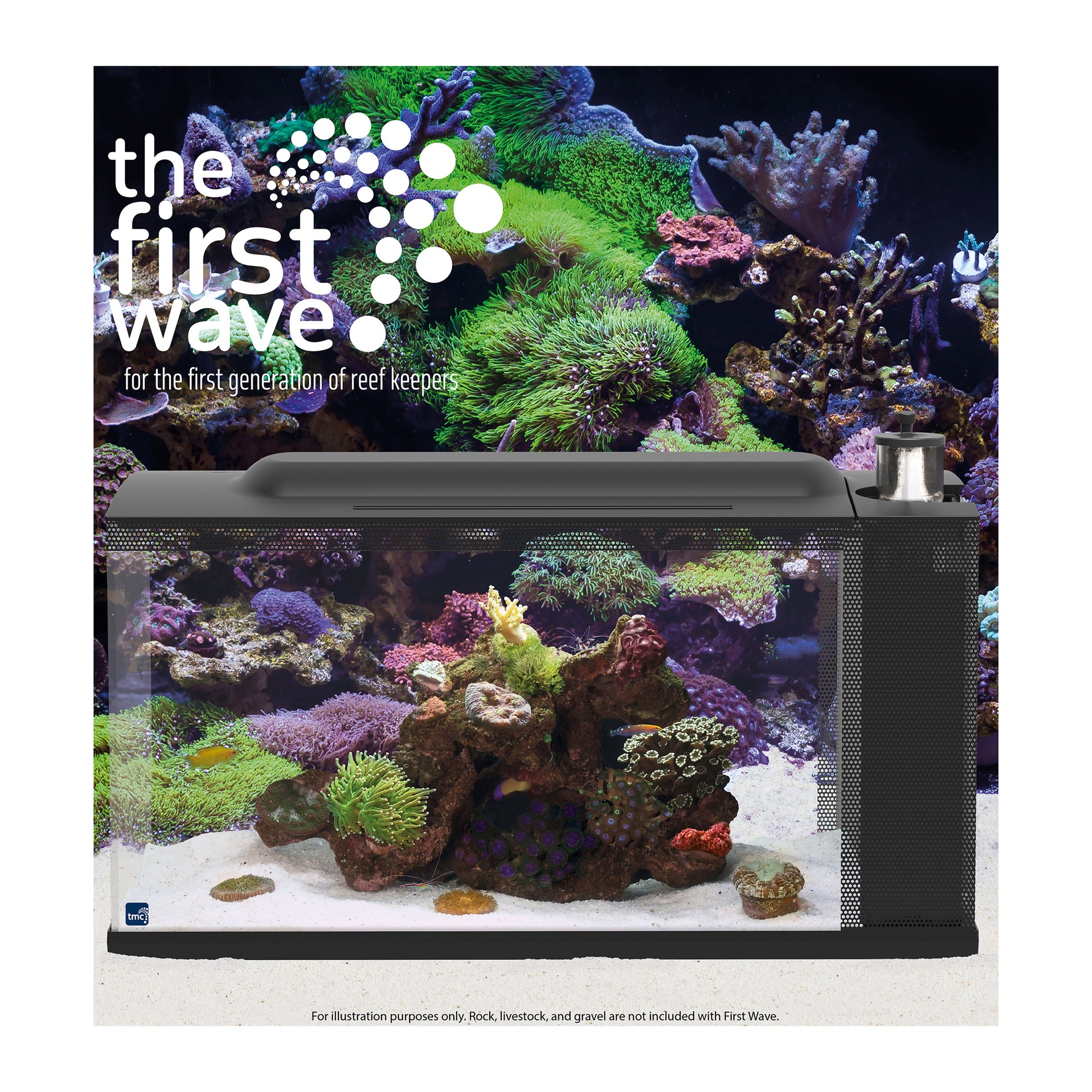 Saltwater Fish Aquarium Supplies Store Near Me Saltwater Coral