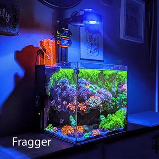 Illumagic Pixel Marine LED.
