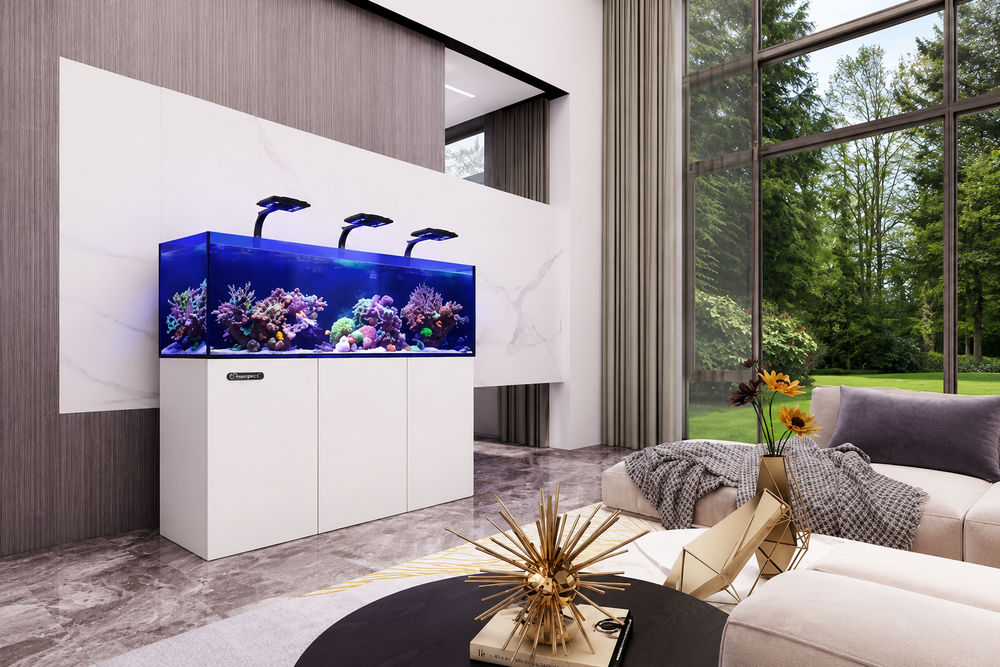 Premium Maxspect Aquariums for Modern Reef Keeping