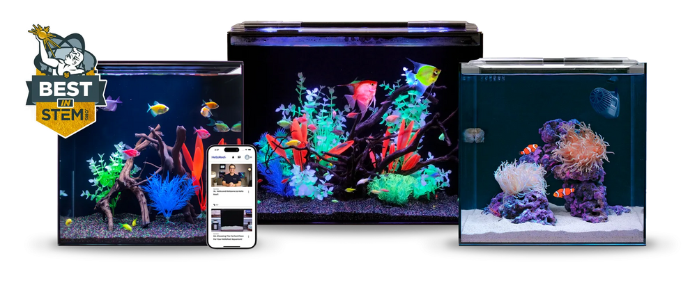 Discover HelloReef at Charterhouse Aquatics