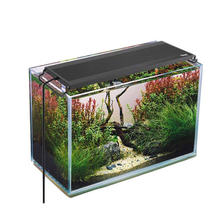 Hygger Slim Full-Spectrum LED