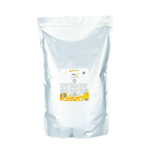 Modern Reef ION-X B 2L