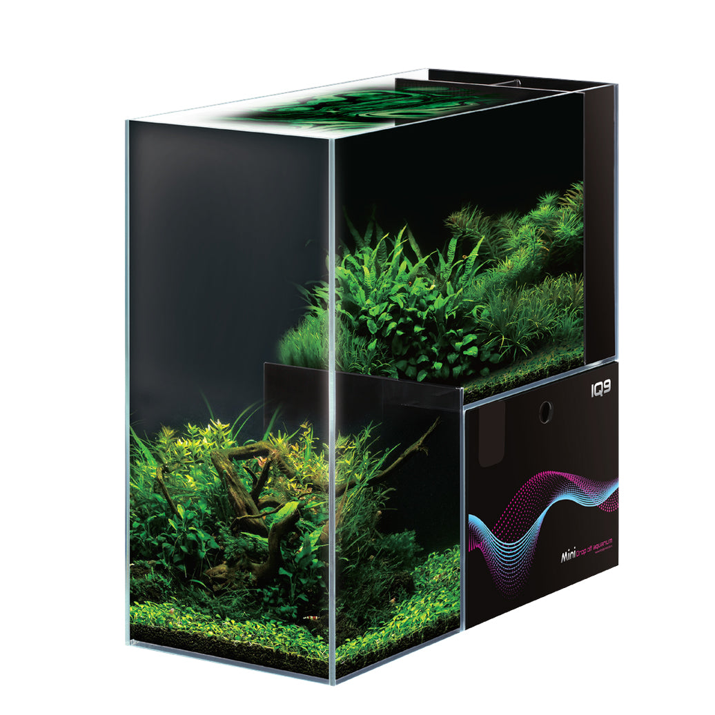 Dymax IQ9 Mini Drop Off Freshwater Aquarium