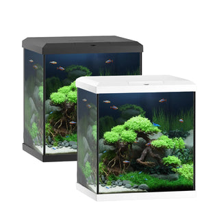 Juwel Vio Cube Freshwater Aquarium