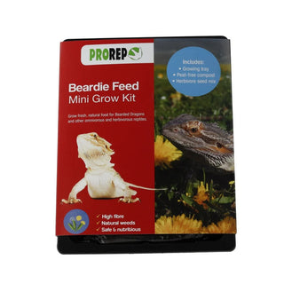 ProRep Beardie Feed Mini Kit.