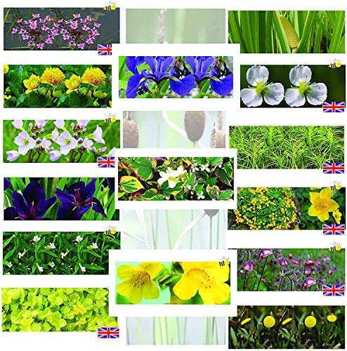 Premium Pond Starter Packs - Pond topup Packs - Oxygenating - Compost and Pots.