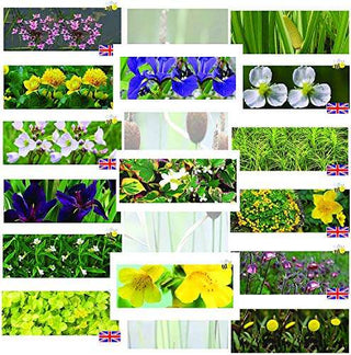 Premium Pond Starter Packs - Pond topup Packs - Oxygenating - Compost and Pots.