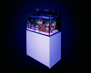 Red Sea MAX NANO G2 XXL Aquarium