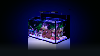 Red Sea MAX NANO G2 XXL Aquarium