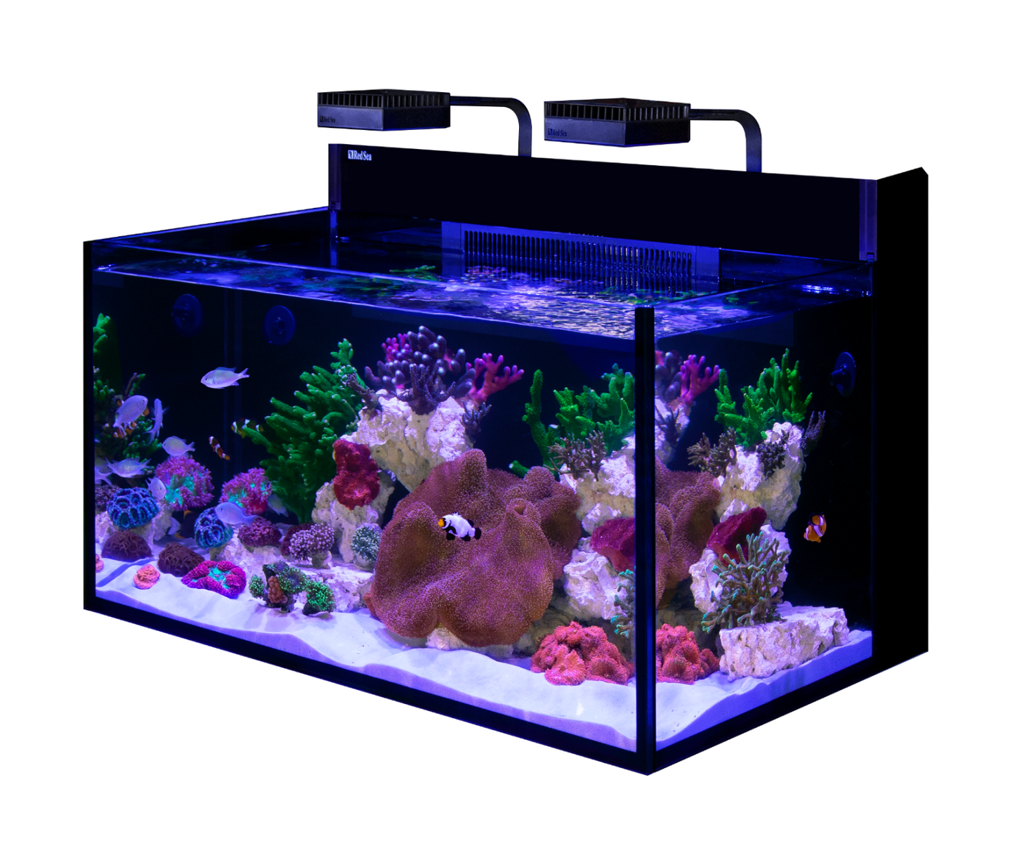 Red Sea MAX NANO G2 XXL (excl cabinet)