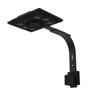 Maxspect Jump MJ-L260 Blue LED