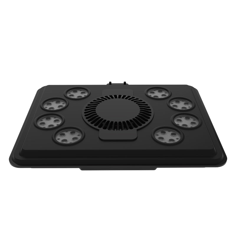 Maxspect Jump MJ-L260 Blue Marine LED – Charterhouse Aquatics