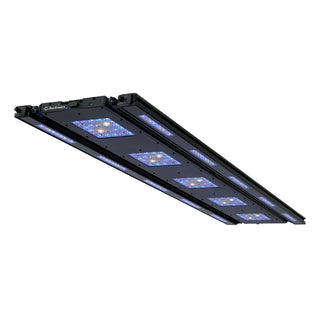 Reefbreeders Meridian and Edge LED Bundle - Shallow Reef and 2 x Edge UV/Blue Hybrid.