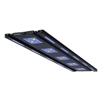 Reefbreeders Meridian and Edge LED Bundle - Shallow Reef and 2 x Edge UV/Blue Hybrid.