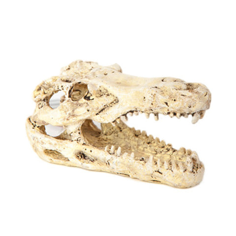 Betta Mini Croc Head Aquarium Ornament
