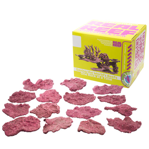 Real Reef Rock Nano Shelf (1pc) F-20