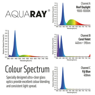 TMC AquaRay P2 LED