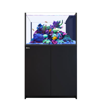 Red Sea Reefer Max G2+ Peninsula 350 Aquarium