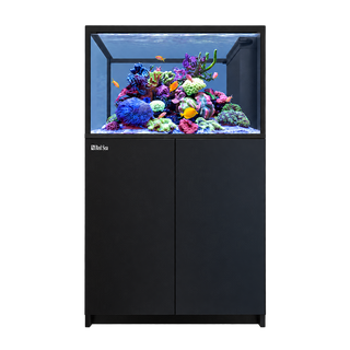 Red Sea Reefer G3+ 350 Peninsula Aquarium and Cabinet