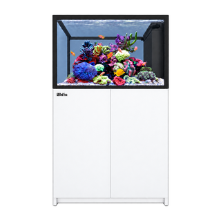 Red Sea Reefer G3+ 350 Peninsula Aquarium and Cabinet