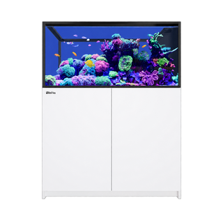 Red Sea Reefer G3+ 500 Peninsula Aquarium and Cabinet