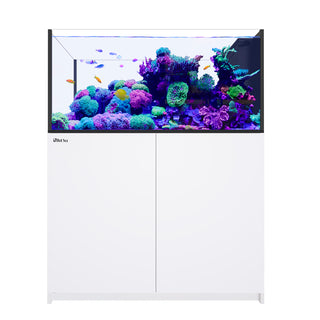 Red Sea Reefer Max G3 Peninsula 500 Aquarium