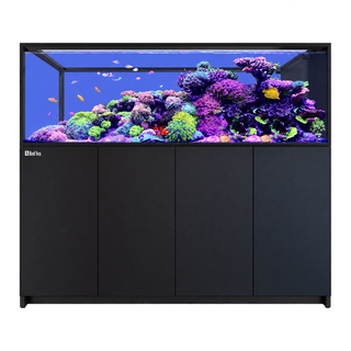 Red Sea Reefer G3+ 950 Peninsula Aquarium and Cabinet