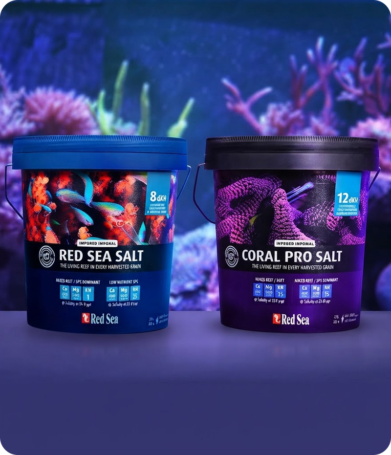 How to properly mix reef salt