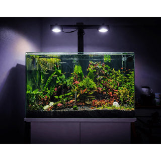 Illumagic Pixel Freshwater LED.