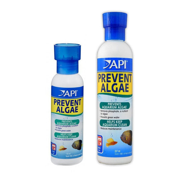 API Prevent Algae - Aquarium Algae Treatment – Charterhouse Aquatics