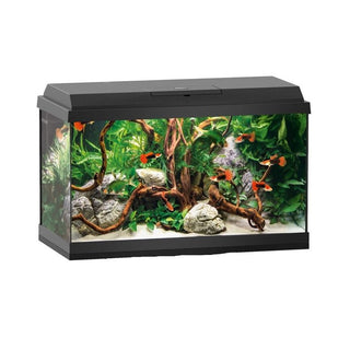 Juwel Primo LED Aquarium