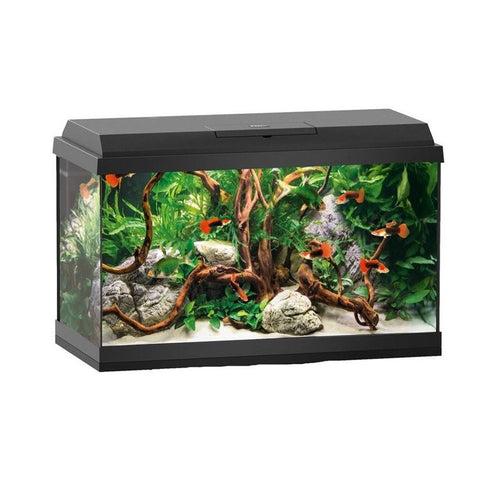 Juwel Primo LED Aquarium