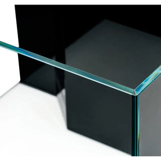 UNS R60 Reef Aquarium