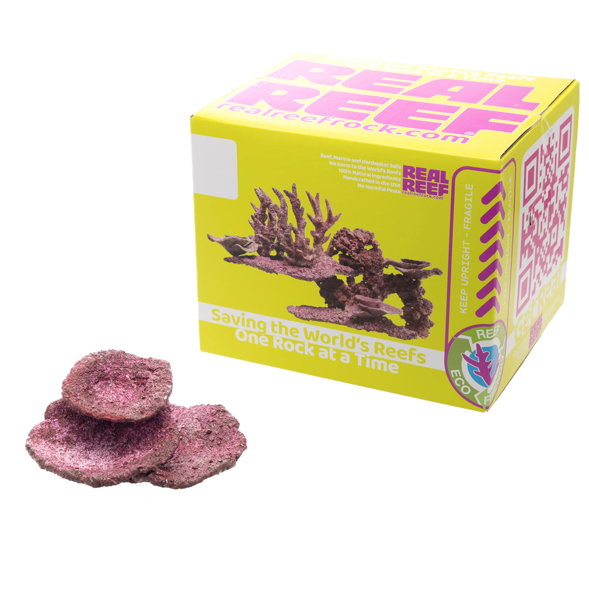 Real Reef Rock Turbinaria Cup Plate (1pc) D-20