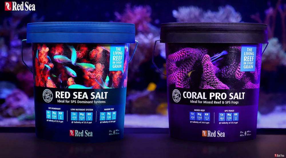 Why Choosing the Right Marine Salt Matters