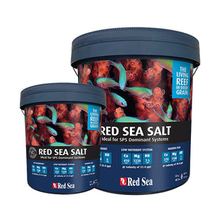 Red Sea Salt